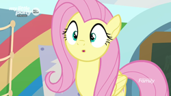 Size: 1280x720 | Tagged: safe, screencap, character:fluttershy, species:pony, episode:she's all yak, g4, my little pony: friendship is magic, cute, shyabetes, surprised