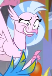 Size: 539x780 | Tagged: safe, screencap, character:gallus, character:silverstream, character:smolder, species:classical hippogriff, species:hippogriff, episode:she's all yak, g4, my little pony: friendship is magic, amused, claws, cropped, cute, diastreamies, dreamworks face, faec, female, flying, grin, head feathers, hypocrite, hypocritical humor, jewelry, look who's talking, necklace, pearl necklace, pointing, raised eyebrow, shrunken pupils, smiling, solo focus, talons, you look so weird