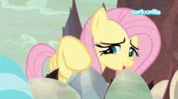 Size: 1024x574 | Tagged: safe, screencap, character:fluttershy, species:pony, episode:sweet and smoky, g4, my little pony: friendship is magic, animated, cartoonito logo, cute, dubbing, floppy ears, italian, shyabetes, sound, webm