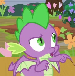 Size: 490x497 | Tagged: safe, screencap, character:spike, species:dragon, episode:the point of no return, g4, my little pony: friendship is magic, claws, cropped, male, solo, winged spike, wings