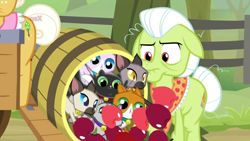 Size: 1920x1080 | Tagged: safe, screencap, character:goldie delicious, character:granny smith, species:earth pony, species:pony, episode:going to seed, g4, my little pony: friendship is magic, apple, barrel, cat, female, food, goldie delicious' cats, mare, siamese cat, too many cats