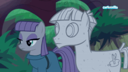 Size: 1920x1080 | Tagged: safe, screencap, character:maud pie, character:mudbriar, species:pony, ship:maudbriar, episode:student counsel, agalmatophilia, animated, cartoonito logo, female, male, petrification, rock, rockbriar, shipping, sound, straight, that pony sure does love rocks, webm