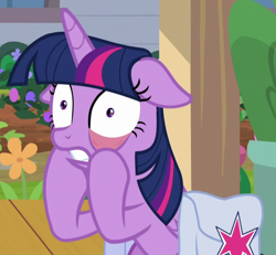 Size: 646x596 | Tagged: safe, screencap, character:twilight sparkle, character:twilight sparkle (alicorn), species:alicorn, species:pony, episode:the point of no return, g4, my little pony: friendship is magic, cropped, eyelid pull, female, floppy ears, flower, gritted teeth, hooves, horn, mare, saddle bag, solo, teeth, wings