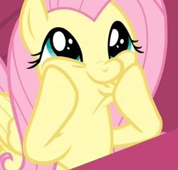 Size: 1091x1042 | Tagged: safe, screencap, character:fluttershy, species:pony, episode:sweet and smoky, g4, my little pony: friendship is magic, cropped, cute, dashface, faec, female, mare, shyabetes, so awesome, solo