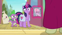 Size: 1920x1080 | Tagged: safe, screencap, character:dusty pages, character:spike, character:twilight sparkle, character:twilight sparkle (alicorn), species:alicorn, species:dragon, species:pony, episode:the point of no return, g4, my little pony: friendship is magic, bag, claws, crossed arms, female, mailbag, male, offscreen character, picture frame, saddle bag, tail, winged spike
