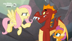 Size: 1328x756 | Tagged: safe, screencap, character:fluttershy, character:garble, character:smolder, episode:sweet and smoky, g4, my little pony: friendship is magic, discovery family logo