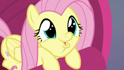 Size: 1920x1080 | Tagged: safe, screencap, character:fluttershy, species:pegasus, species:pony, episode:sweet and smoky, g4, my little pony: friendship is magic, cute, dashface, dawwww, faec, female, fluttershy is best facemaker too, mare, shyabetes, so awesome