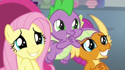 Size: 1920x1080 | Tagged: safe, artist:minion-of-the-east, screencap, character:fluttershy, character:smolder, character:spike, species:dragon, species:pony, episode:sweet and smoky, g4, my little pony: friendship is magic, cute, dawwww, dragoness, female, hnnng, male, mare, puppy dog eyes, shyabetes, smolderbetes, spikabetes, trio, winged spike