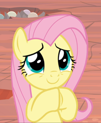 Size: 682x835 | Tagged: safe, screencap, character:fluttershy, species:pegasus, species:pony, episode:sweet and smoky, g4, my little pony: friendship is magic, cropped, cute, female, hooves together, mare, raised hoof, shyabetes, smiling, solo