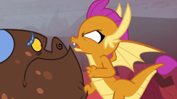 Size: 1920x1080 | Tagged: safe, screencap, character:smolder, species:dragon, episode:sweet and smoky, g4, my little pony: friendship is magic, clump, dragoness, female, fist, male, nose wrinkle