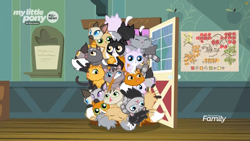 Size: 1259x708 | Tagged: safe, screencap, species:pony, episode:going to seed, g4, my little pony: friendship is magic, all new, animal, cat, derp cat, discovery family logo, goldie delicious' cats, map, siamese cat, text, too many cats, tuxedo cat