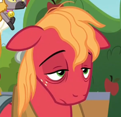 Size: 596x577 | Tagged: safe, screencap, character:big mcintosh, species:earth pony, species:pony, episode:going to seed, g4, my little pony: friendship is magic, cropped, horse face, male, solo, solo focus, stallion, tired