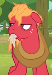 Size: 556x799 | Tagged: safe, screencap, character:big mcintosh, species:earth pony, species:pony, episode:going to seed, g4, my little pony: friendship is magic, angry, bags under eyes, big macintosh is not amused, cropped, frown, male, messy mane, mouth hold, solo, stallion, tired