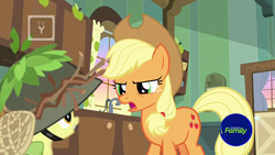 Size: 1600x900 | Tagged: safe, screencap, character:apple bloom, character:applejack, species:earth pony, species:pony, episode:going to seed, g4, my little pony: friendship is magic, apple sisters, discovery family logo, door, duo, female, filly, foal, helmet, indoors, kitchen, leaves, mare, net, sink, stern, sticks, tv rating, tv-y, window