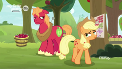 Size: 1600x900 | Tagged: safe, screencap, character:applejack, character:big mcintosh, species:earth pony, species:pony, episode:going to seed, g4, my little pony: friendship is magic, apple, apple tree, big macintosh is not amused, brother and sister, bucket, discovery family logo, duo, female, food, male, mare, sad face, schedule, siblings, stallion, tired, tree, unamused