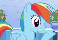 Size: 687x472 | Tagged: safe, screencap, character:rainbow dash, species:pegasus, species:pony, episode:games ponies play, g4, my little pony: friendship is magic, cropped, female, mare, open mouth, profile, raised hoof, solo