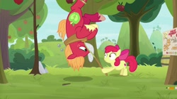 Size: 1920x1080 | Tagged: safe, screencap, character:apple bloom, character:big mcintosh, species:pony, episode:going to seed, g4, my little pony: friendship is magic, apple tree, butterfly net, gotcha, hanging, hanging upside down, tree