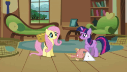 Size: 1280x720 | Tagged: safe, screencap, character:fluttershy, character:twilight sparkle, species:pegasus, species:phoenix, species:pony, species:unicorn, episode:a bird in the hoof, g4, my little pony: friendship is magic, animated, female, mare, sound, webm