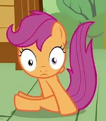 Size: 379x432 | Tagged: safe, screencap, character:scootaloo, species:pegasus, species:pony, episode:one bad apple, g4, my little pony: friendship is magic, animation error, cropped, solo, what is anatomy
