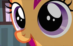 Size: 1148x720 | Tagged: safe, screencap, character:scootaloo, species:pegasus, species:pony, episode:one bad apple, g4, my little pony: friendship is magic, close-up, cute, cutealoo, solo