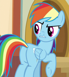 Size: 612x676 | Tagged: safe, screencap, character:rainbow dash, species:pegasus, species:pony, episode:common ground, g4, my little pony: friendship is magic, butt, cropped, female, plot, rainbutt dash, solo