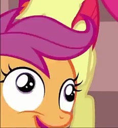 Size: 357x387 | Tagged: safe, screencap, character:apple bloom, character:scootaloo, species:pegasus, species:pony, episode:one bad apple, g4, my little pony: friendship is magic, chickun, cropped, cute, cutealoo, derp, duo, exploitable meme, faec, forced meme, meme