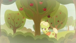 Size: 1920x1080 | Tagged: safe, screencap, character:granny smith, species:pony, episode:going to seed, g4, my little pony: friendship is magic, apple, apple tree, flashback, food, solo, tree, young granny smith, younger