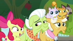 Size: 1920x1080 | Tagged: safe, screencap, character:apple bloom, character:goldie delicious, character:granny smith, species:earth pony, species:pony, episode:going to seed, g4, my little pony: friendship is magic, apple tree, bell, bell collar, cat, collar, derp cat, female, filly, foal, goldie delicious' cats, mare, sitting on head, tree