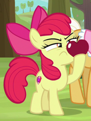 Size: 614x815 | Tagged: safe, screencap, character:apple bloom, character:goldie delicious, species:earth pony, species:pony, episode:going to seed, g4, my little pony: friendship is magic, apple, cropped, cutie mark, female, filly, food, mare, offscreen character, solo focus, the cmc's cutie marks