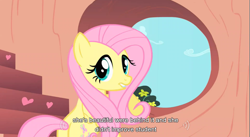 Size: 855x469 | Tagged: safe, screencap, character:fluttershy, species:pegasus, species:pony, butt, caption, cute, female, flutterbutt, golden oaks library, mare, plot, shyabetes, solo, stairs, window, youtube caption