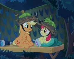 Size: 881x693 | Tagged: safe, screencap, character:apple bloom, character:applejack, species:earth pony, species:pony, episode:going to seed, g4, my little pony: friendship is magic, apple sisters, clothing, cropped, duo, hat, looking at each other, sitting, sleeping bag, smiling