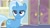 Size: 1920x1080 | Tagged: safe, screencap, character:november rain, character:trixie, species:pony, episode:student counsel, female, friendship student, offscreen character, solo, unamused