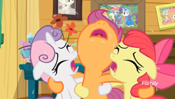 Size: 1745x982 | Tagged: safe, screencap, character:apple bloom, character:applejack, character:babs seed, character:featherweight, character:rainbow dash, character:rarity, character:scootaloo, character:sweetie belle, species:earth pony, species:pegasus, species:pony, species:unicorn, episode:the last crusade, g4, my little pony: friendship is magic, bowl, candy, clubhouse, crusaders clubhouse, crying, cutie mark crusaders, discovery family logo, flower, food, picture, picture frame