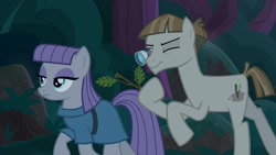 Size: 1920x1080 | Tagged: safe, screencap, character:maud pie, character:mudbriar, species:earth pony, species:pony, episode:student counsel, clothing, duo, female, hoof hold, loupe, male, mare, oak leaf, one eye closed, stallion, stick