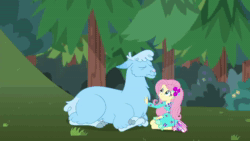 Size: 1280x720 | Tagged: safe, screencap, character:fluttershy, episode:wake up!, g4, my little pony:equestria girls, animated, llama, shoes, sneakers, sound, spitting, wake up!: rainbow dash, webm
