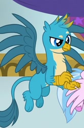 Size: 476x720 | Tagged: safe, screencap, character:gallus, character:silverstream, episode:she's all yak, g4, my little pony: friendship is magic, chest fluff, claws, cropped, flying, majestic, offscreen character, smiling, tail, wings