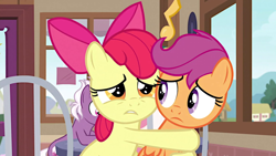 Size: 1020x574 | Tagged: safe, screencap, character:apple bloom, character:fuchsia frost, character:loganberry, character:scootaloo, species:earth pony, species:pegasus, species:pony, episode:the last crusade, g4, my little pony: friendship is magic, background pony, chair, female, filly, friendship student, holding on, hug, looking at someone, protecting, sad, unhappy