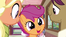 Size: 1920x1080 | Tagged: safe, screencap, character:mane allgood, character:scootaloo, character:snap shutter, species:pegasus, species:pony, episode:the last crusade, g4, my little pony: friendship is magic, cute, cutealoo, female, filly, foal, male, mare, stallion, trio