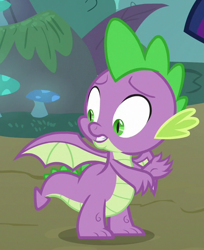Size: 514x630 | Tagged: safe, screencap, character:spike, species:dragon, episode:molt down, g4, my little pony: friendship is magic, claws, cropped, male, solo, tail, winged spike, wings