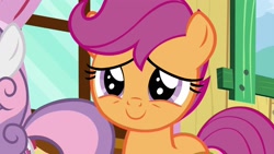 Size: 1920x1080 | Tagged: safe, screencap, character:scootaloo, character:sweetie belle, species:pegasus, species:pony, episode:the last crusade, g4, my little pony: friendship is magic, female, solo focus