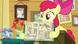Size: 1920x1080 | Tagged: safe, screencap, character:apple bloom, character:applejack, character:babs seed, character:featherweight, character:rainbow dash, species:pony, episode:the last crusade, g4, my little pony: friendship is magic, book, female, picture frame, timber wolf