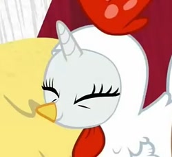 Size: 407x372 | Tagged: safe, screencap, character:rarity, species:pony, episode:forever filly, g4, my little pony: friendship is magic, animal costume, chicken suit, chiken, clothing, cosplay, costume, cropped, cute, eyes closed, happy, rarichicken