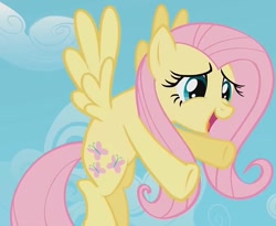 Size: 879x720 | Tagged: safe, screencap, character:fluttershy, species:pegasus, species:pony, episode:may the best pet win, g4, my little pony: friendship is magic, cropped, cute, hug, incoming hug