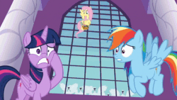Size: 1280x720 | Tagged: safe, screencap, character:fancypants, character:fluttershy, character:rainbow dash, character:twilight sparkle, character:twilight sparkle (alicorn), species:alicorn, species:pony, episode:between dark and dawn, g4, my little pony: friendship is magic, amused, animated, canterlot, canterlot castle, clothing, flock, laughing, monocle, newspaper, noble, sound, suit, swan, table, webm