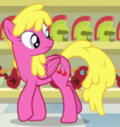 Size: 464x492 | Tagged: safe, screencap, character:cherry berry, species:pegasus, species:pony, episode:a flurry of emotions, g4, my little pony: friendship is magic, cropped, race swap, solo