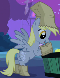 Size: 350x450 | Tagged: safe, screencap, character:derpy hooves, species:pegasus, species:pony, episode:luna eclipsed, g4, my little pony: friendship is magic, clothing, costume, cropped, female, mare, nightmare night costume, outfit catalog, paper bag, paper bag wizard, solo