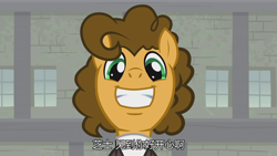 Size: 1920x1080 | Tagged: safe, screencap, character:cheese sandwich, character:sans smirk, species:pony, episode:the last laugh, g4, my little pony: friendship is magic, leak, chinese, mask, subtitles