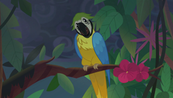 Size: 1920x1080 | Tagged: safe, screencap, species:bird, species:parrot, equestria girls:spring breakdown, g4, my little pony:equestria girls, animal, blue-and-yellow macaw, flower, head tilt, macaw, solo
