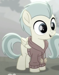 Size: 439x553 | Tagged: safe, screencap, character:pickle barrel, species:pegasus, species:pony, friendship is magic: rainbow roadtrip, g4, my little pony: friendship is magic, clothing, colt, cropped, foal, hoodie, male, picklebetes, smiling, solo, wings