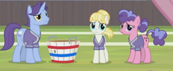 Size: 896x368 | Tagged: safe, screencap, character:berry blend, character:berry bliss, character:november rain, character:summer breeze, species:pony, episode:2-4-6 greaaat, buckball, friendship student